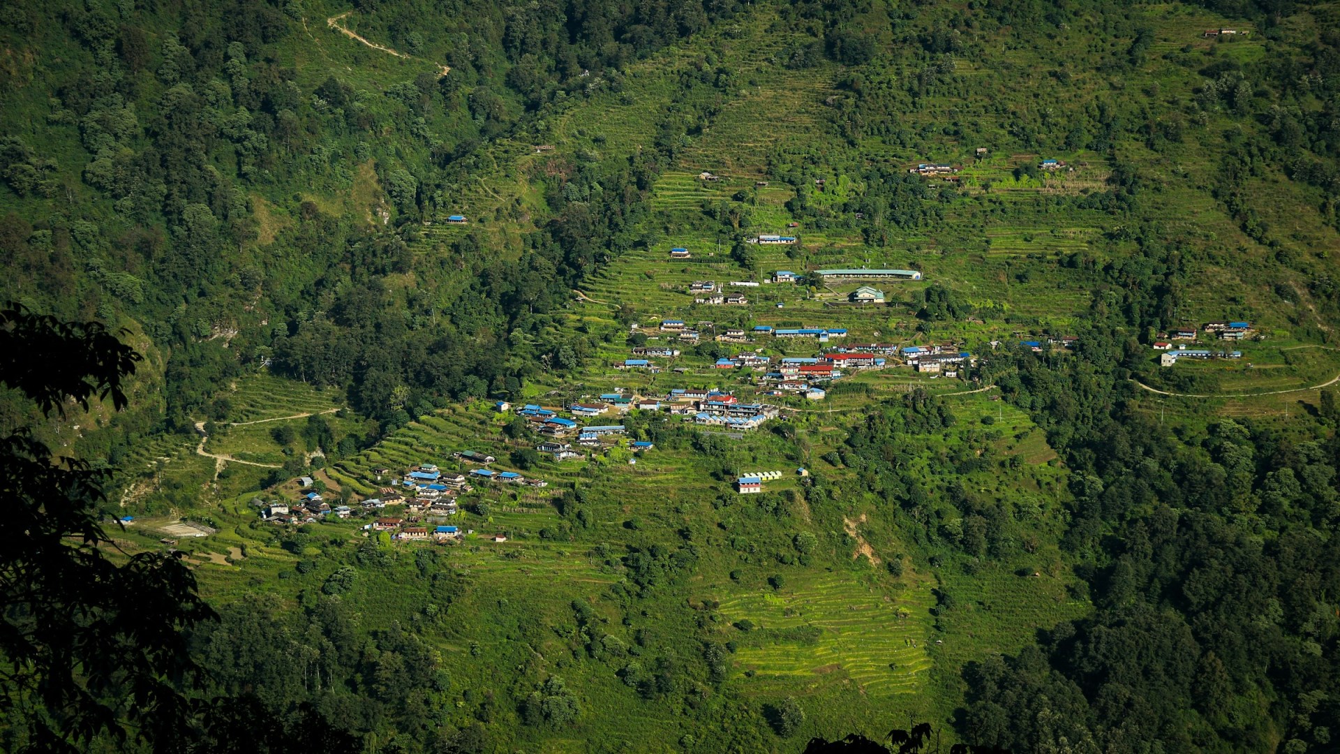  Photo Credit: Photo by Sameer Malla on Unsplash