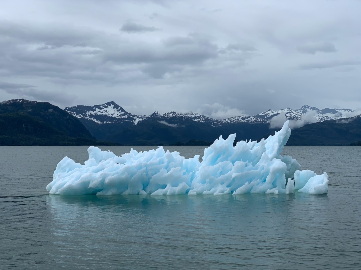 Prince William Sound