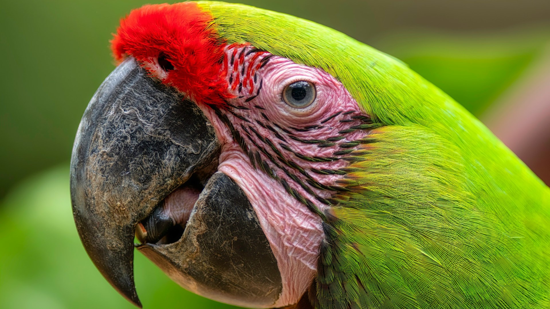  Photo Credit: Photo by Geoffrey Baumbach on Unsplash