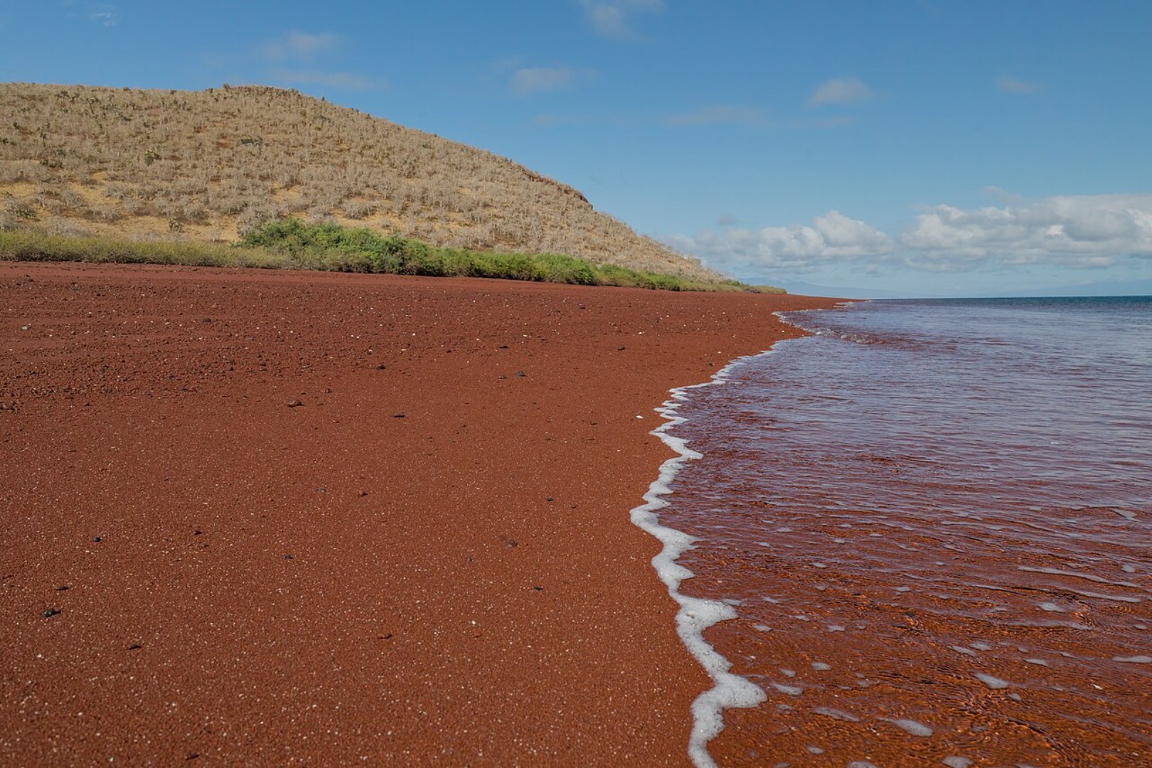  Photo Credit: Photo by The Official CTBTO Photostream on Wikimedia
