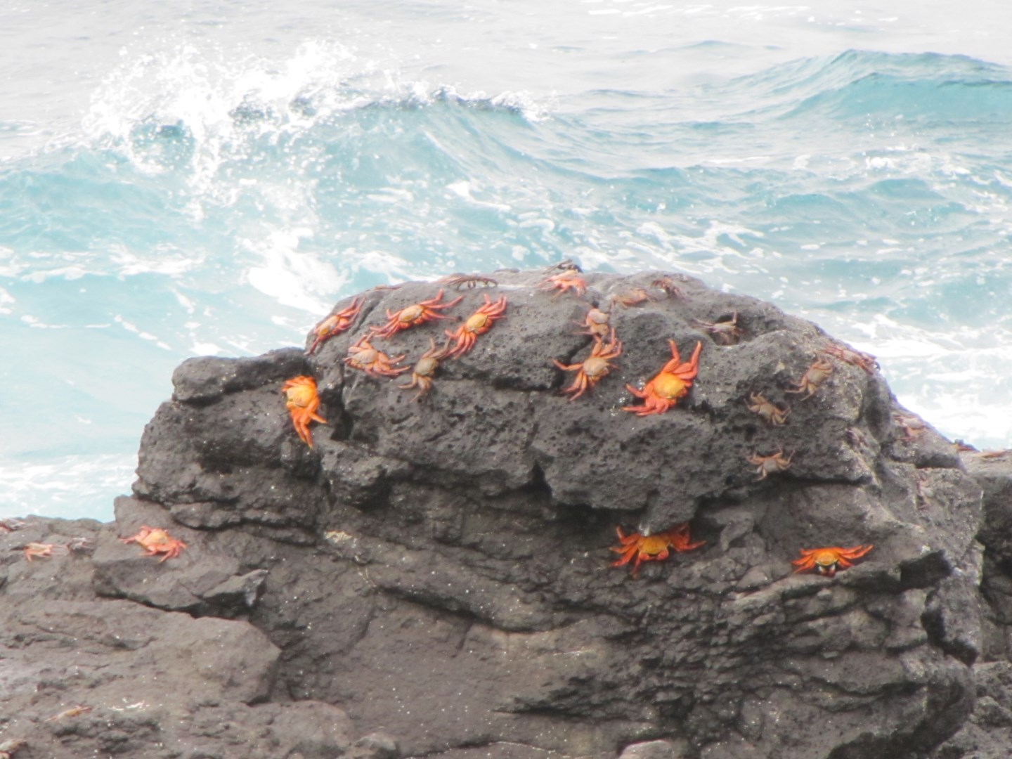  Photo Credit: Photo by David Berkowitz on Wikimedia