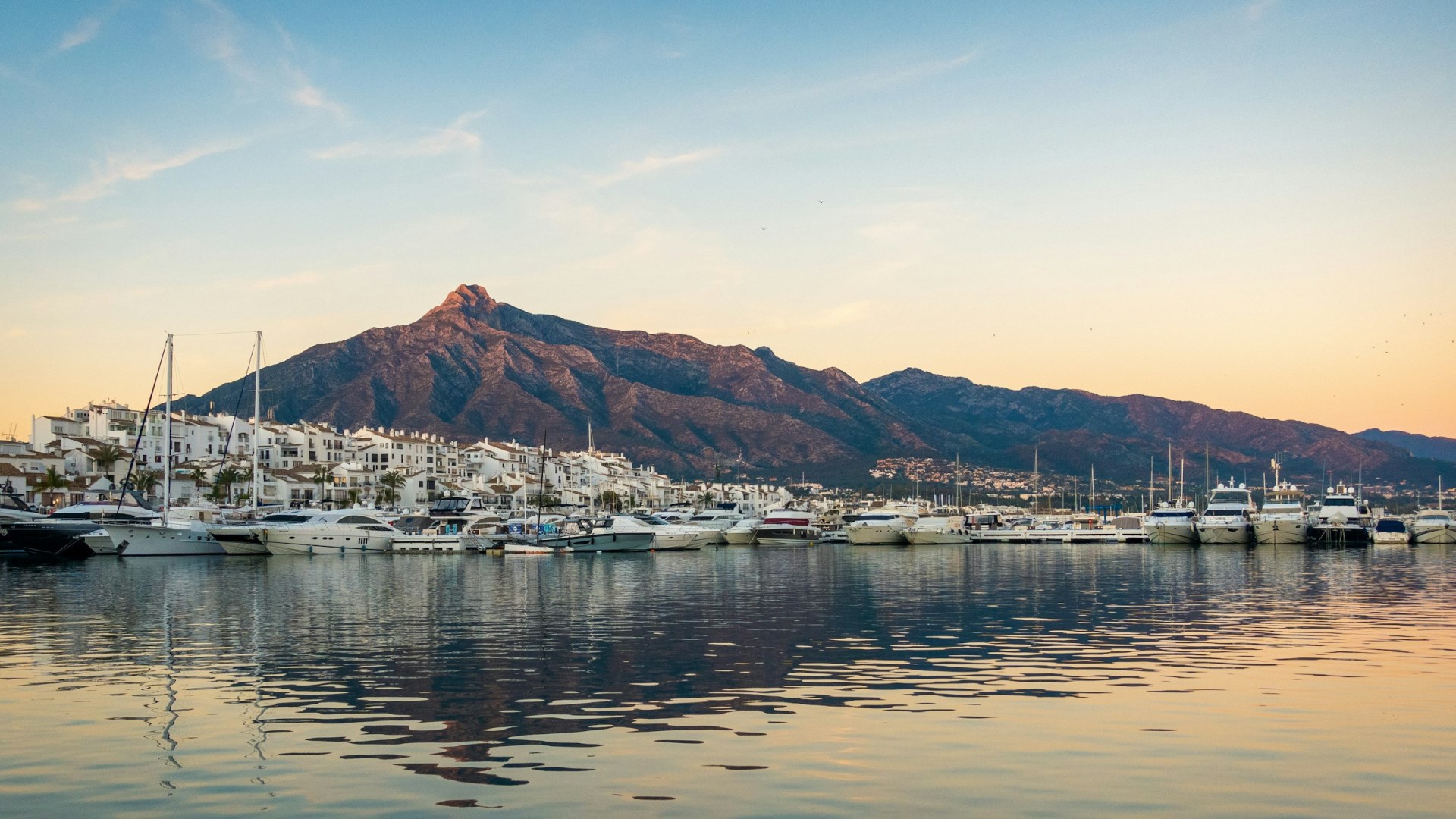  Photo Credit: Photo by Simon Hermans on Unsplash