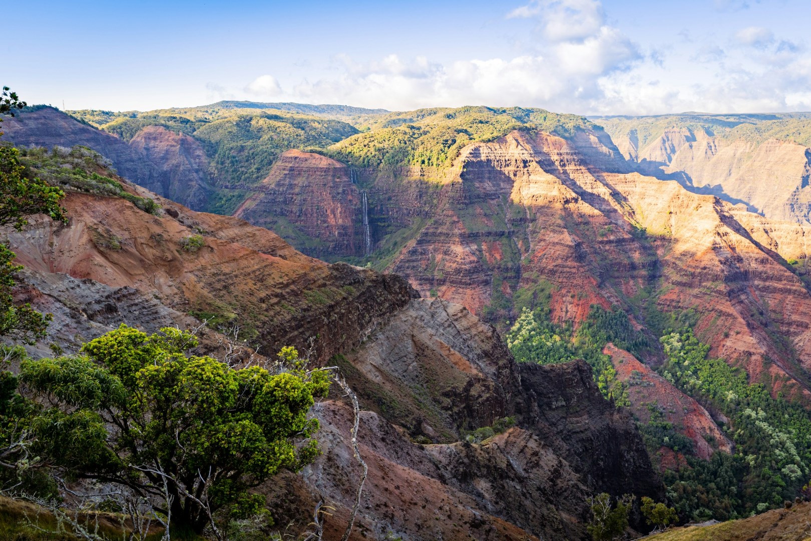 Waimea Canyon, Kauai