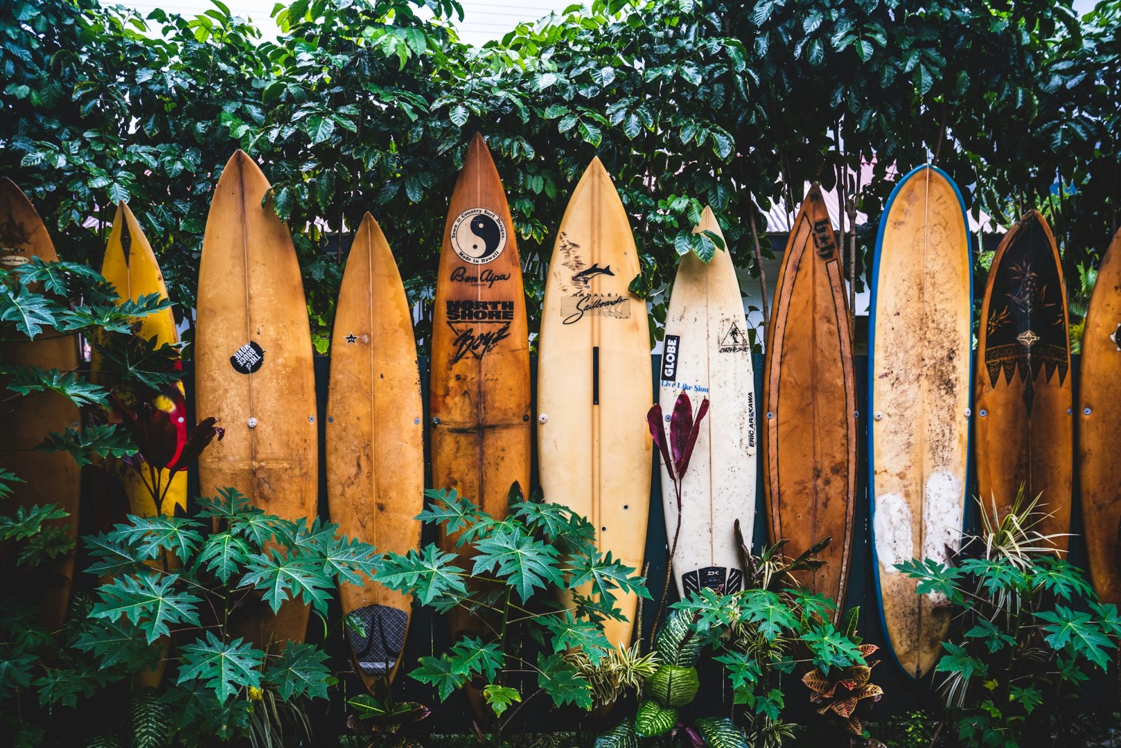 Hanalei, Kauai