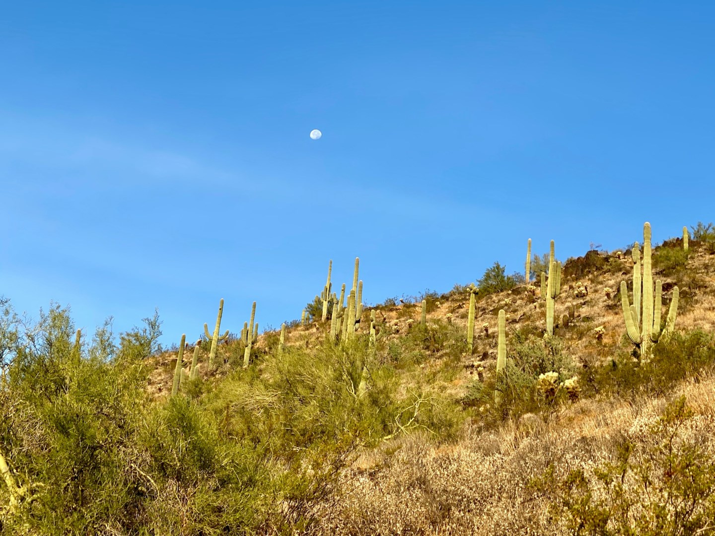  Photo Credit: Photo by Rickie Showalter on Unsplash