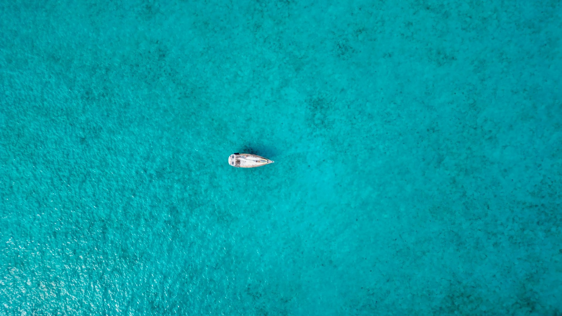  Photo Credit: Photo by Christian on Unsplash