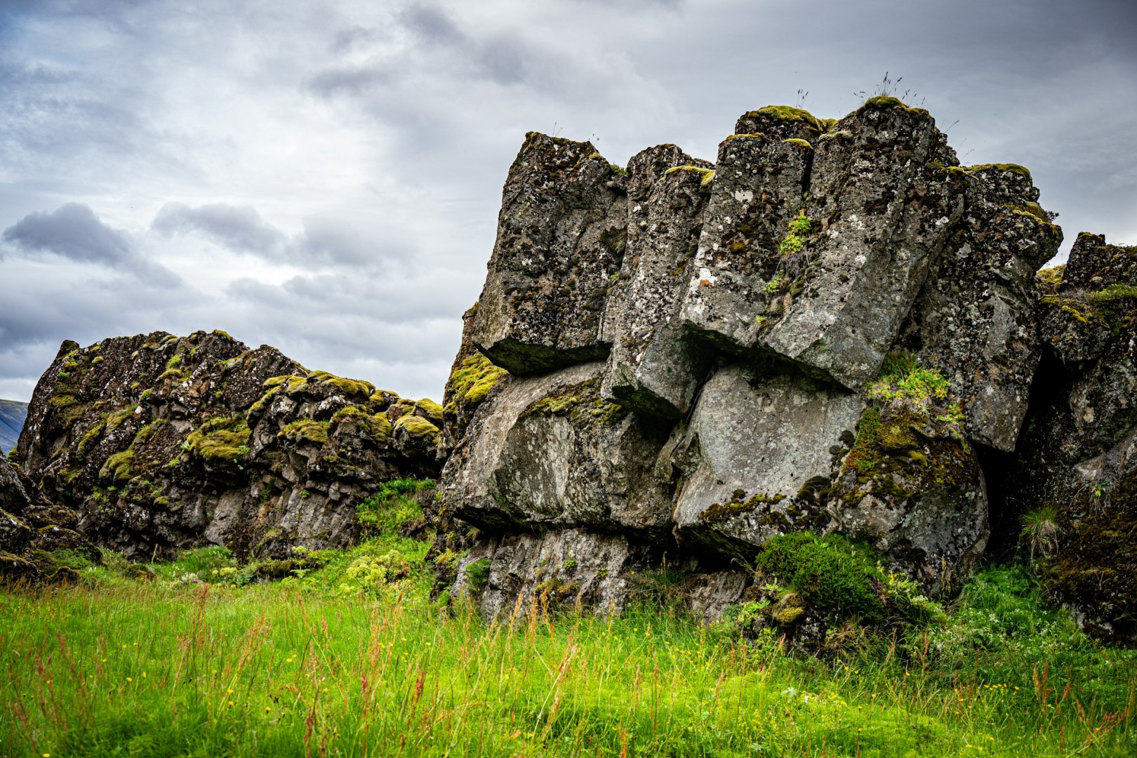  Photo Credit: Photo by Julia Taubitz on Unsplash