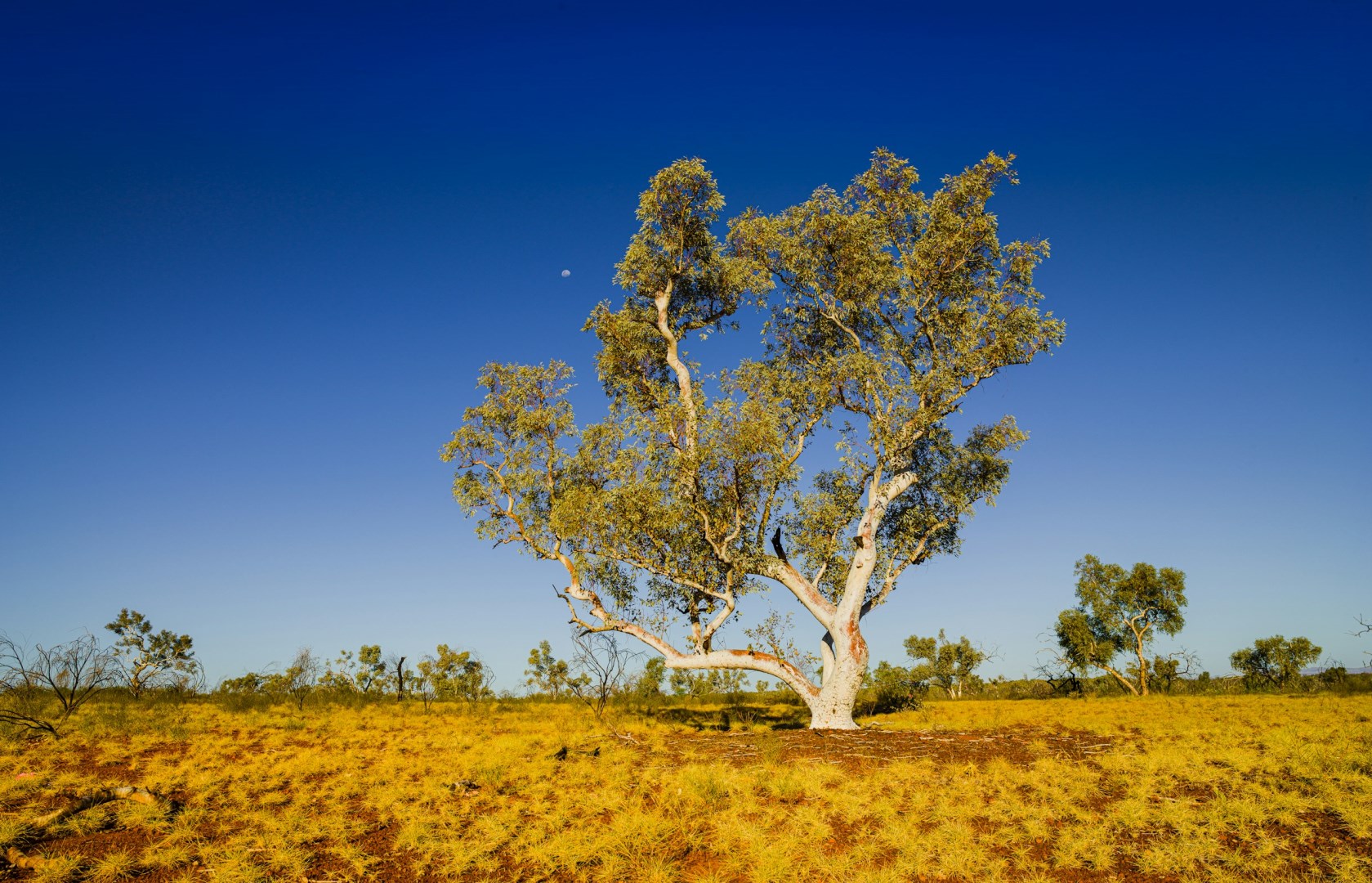Millstream-Chichester National Park