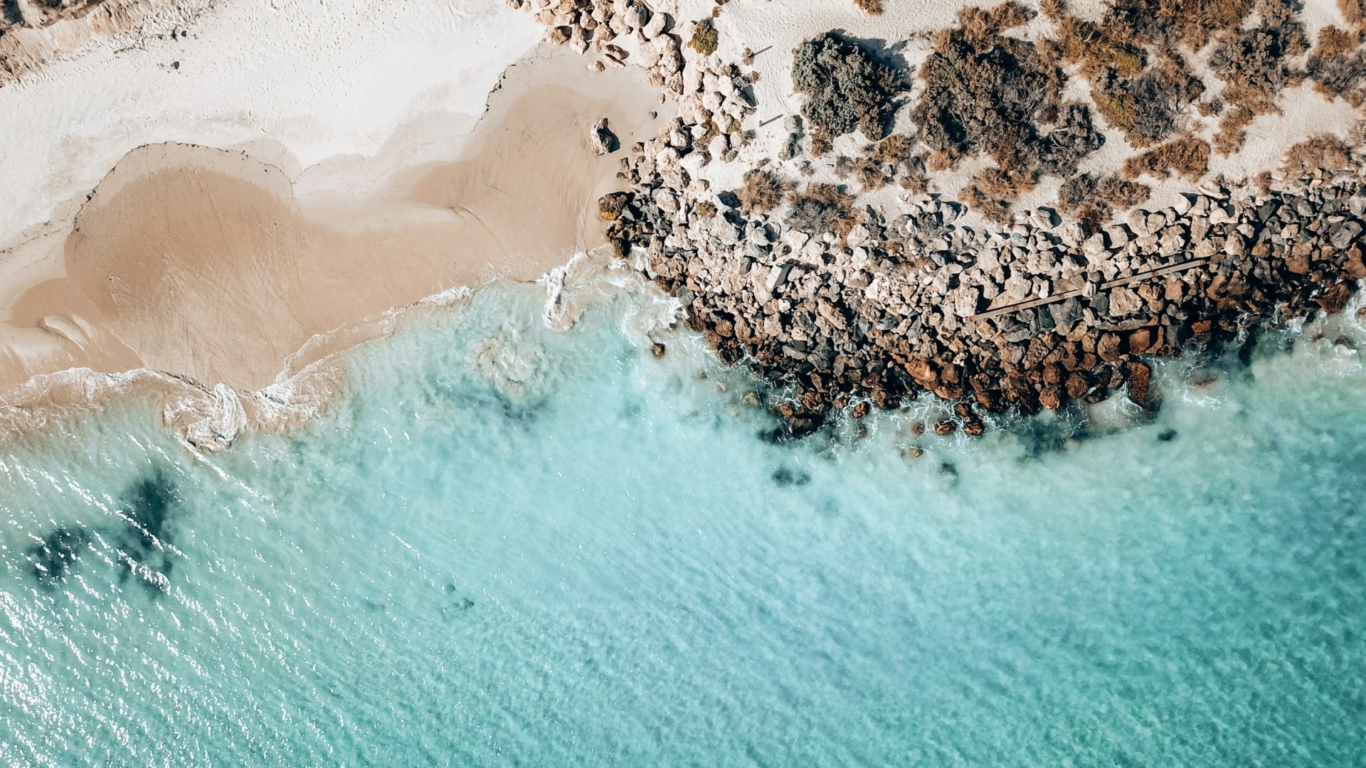  Photo Credit: Photo by Corey Serravite on Unsplash