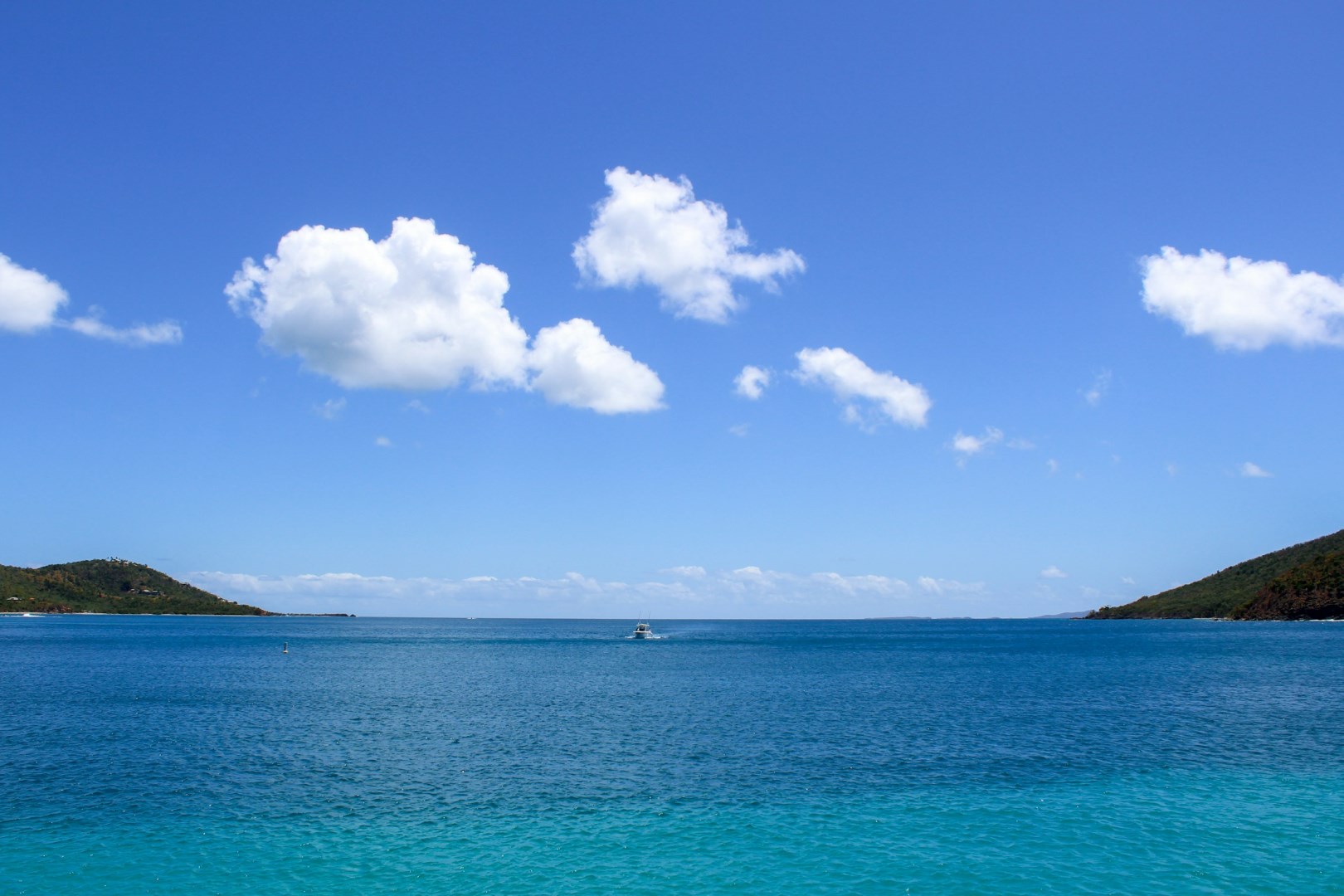  Photo Credit: Photo by Manuel E Sankitts on Unsplash