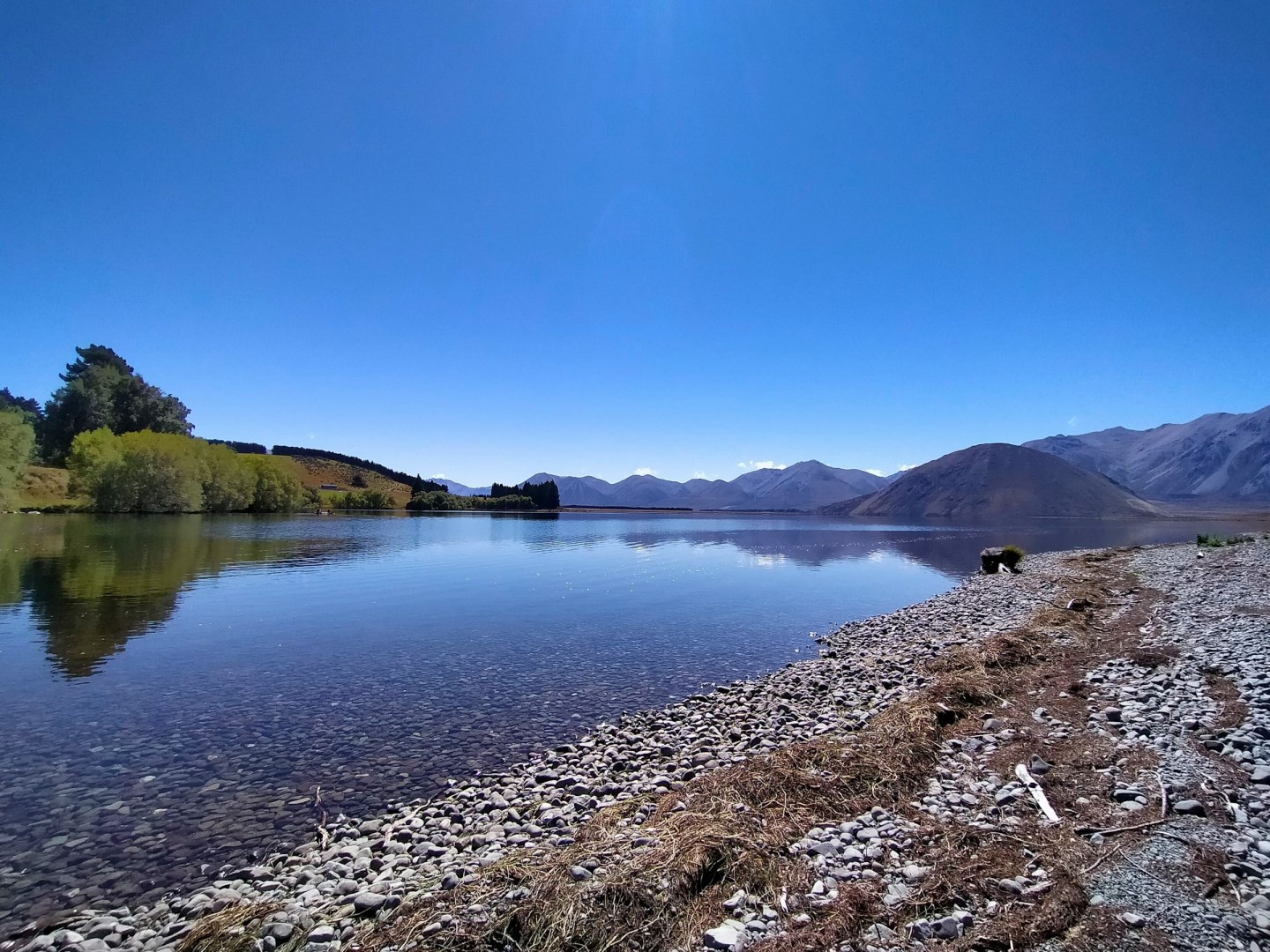 Lake Heron - Photo Credit: Photo by Rachel Powell on Unsplash
