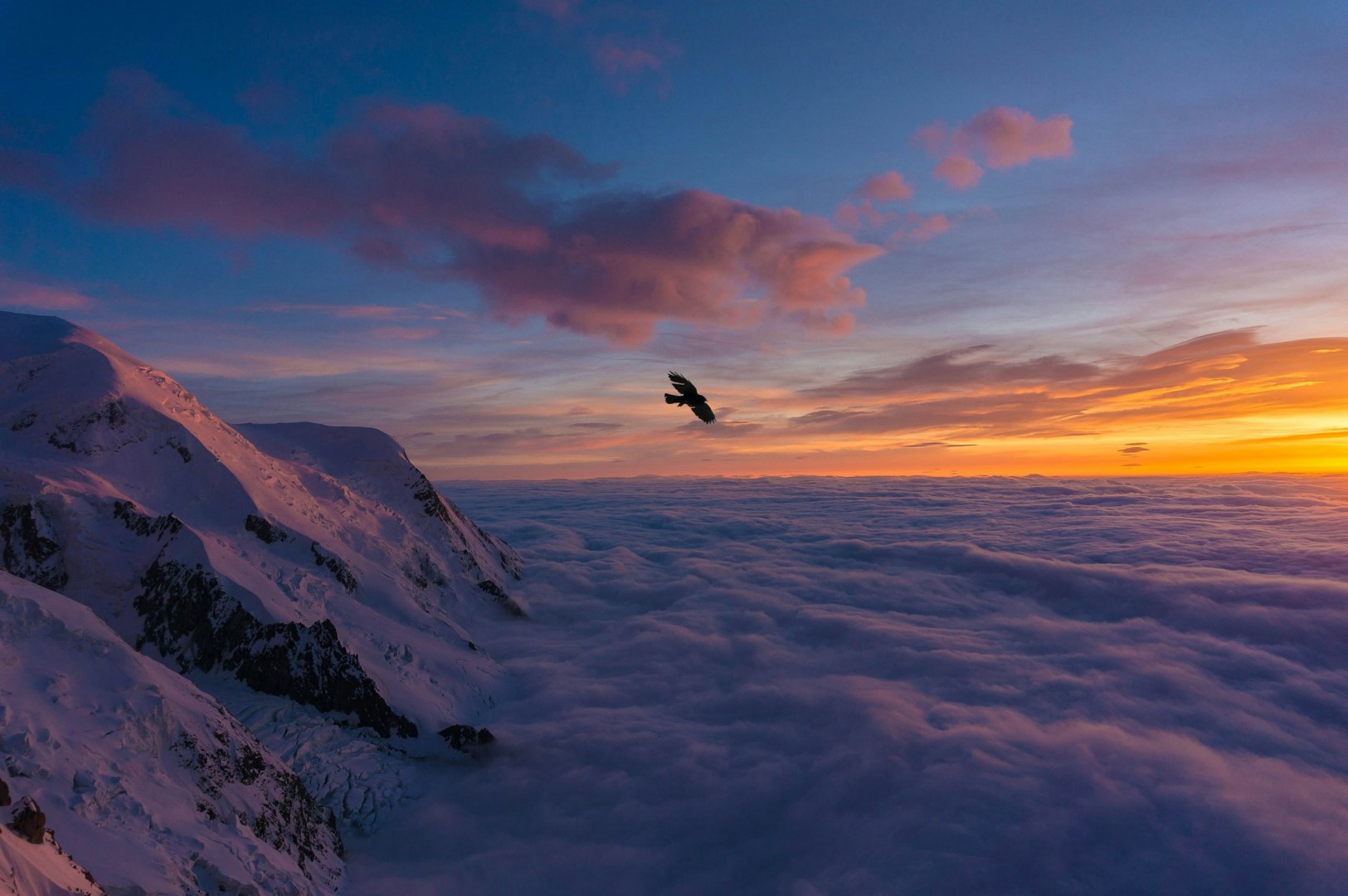  Photo Credit: Photo by Sylvain Mauroux on Unsplash