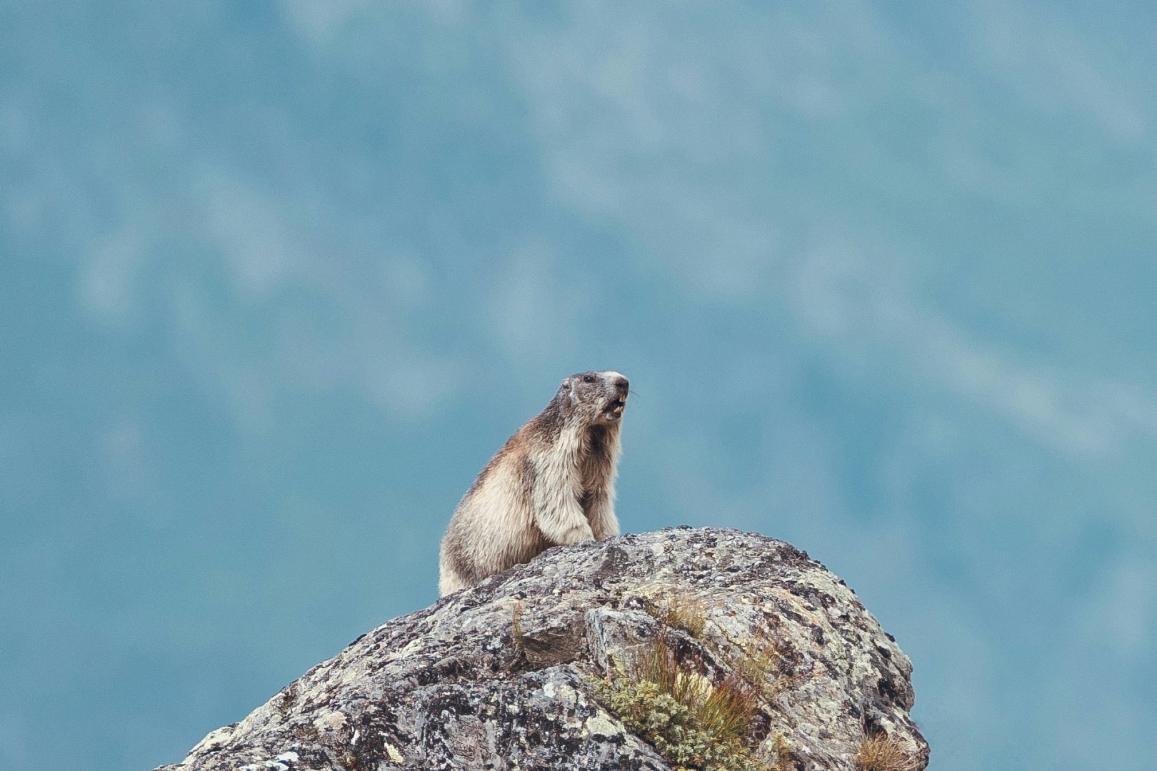  Photo Credit: Photo by Sies Kranen on Unsplash