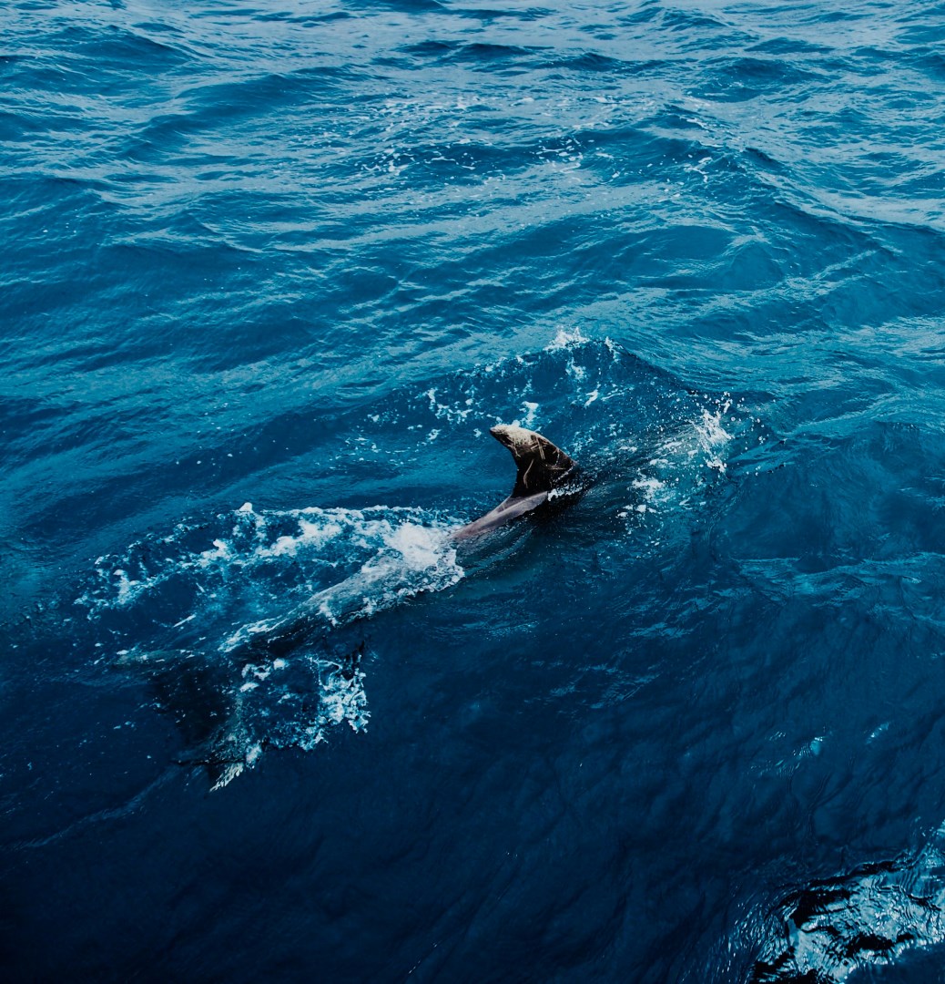 Photo Credit: Photo by Adrien Aletti on Unsplash