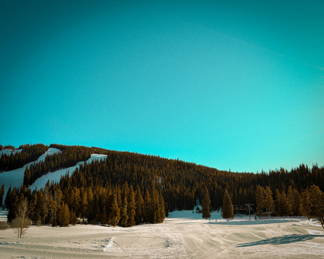  Photo Credit: Photo by Ryan DeWerff on Unsplash