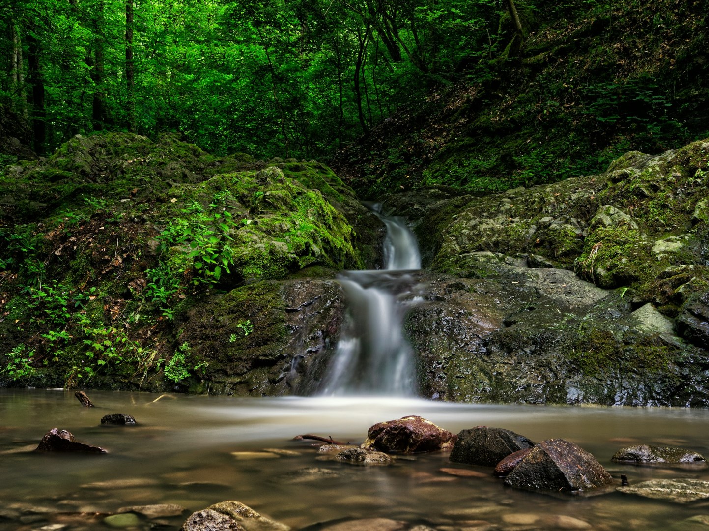  Photo Credit: Photo by Gabriel Miklós on Unsplash