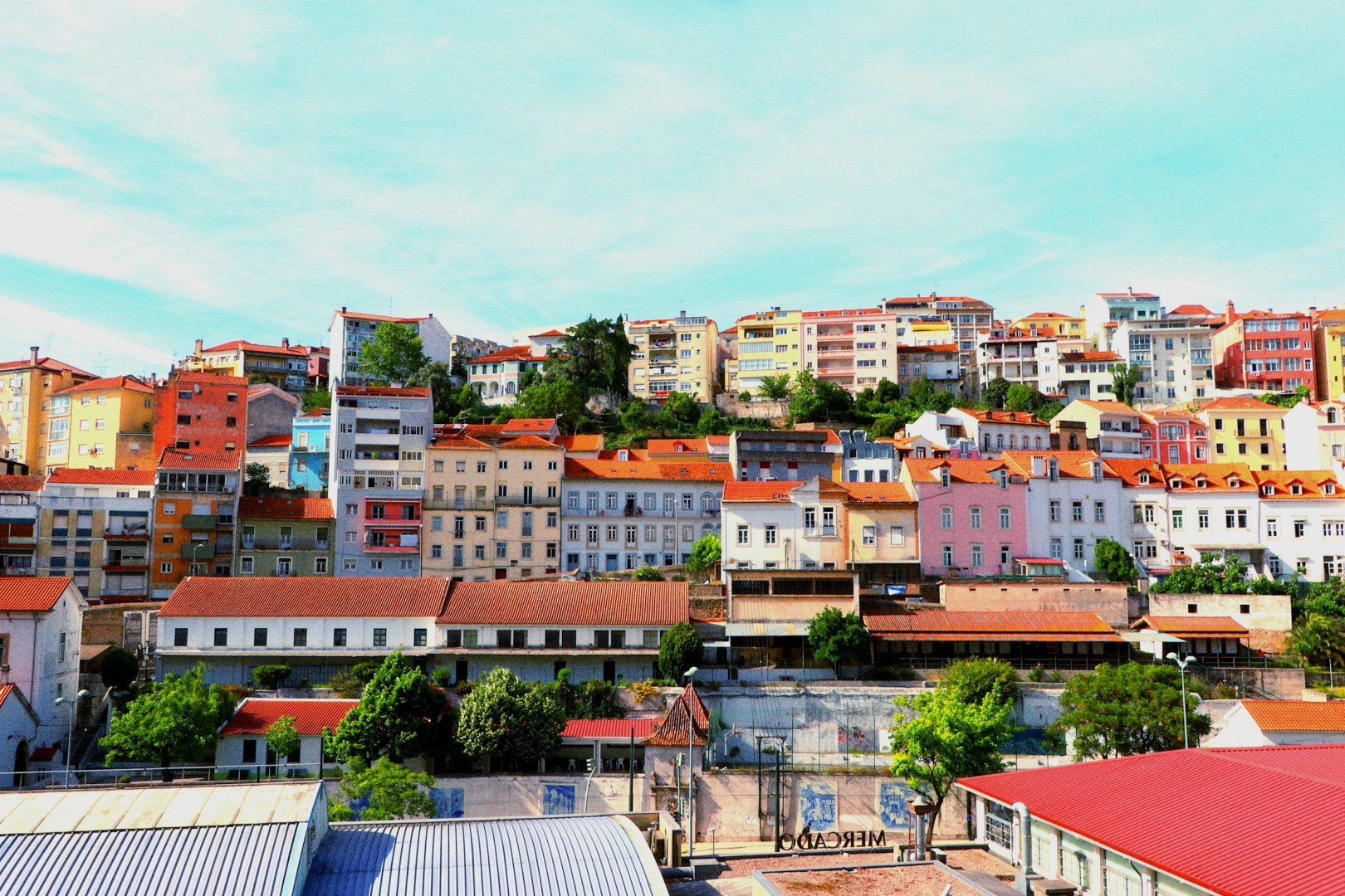  Photo Credit: Photo by Sara Neto on Unsplash