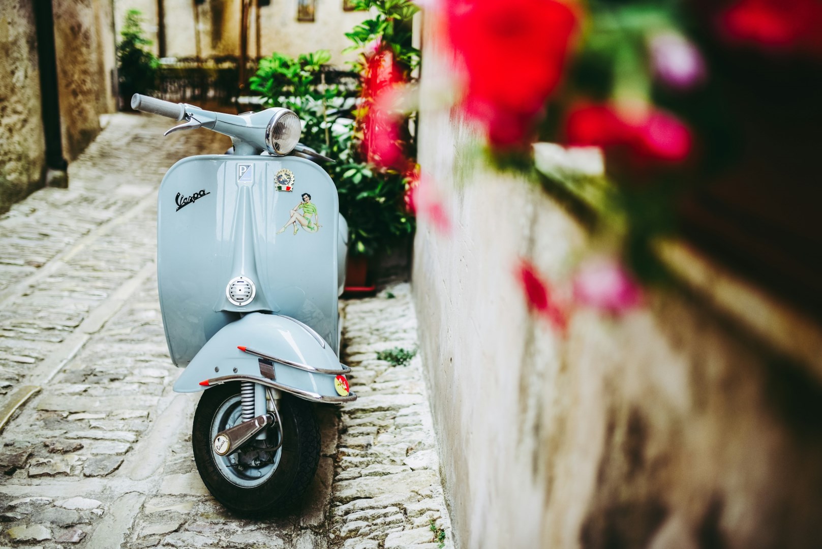  Photo Credit: Photo by davide ragusa on Unsplash