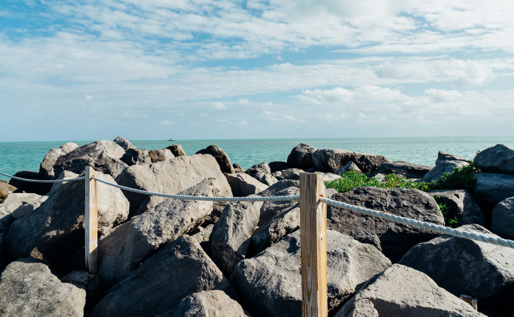  Photo Credit: Photo by Baron Alloway on Unsplash