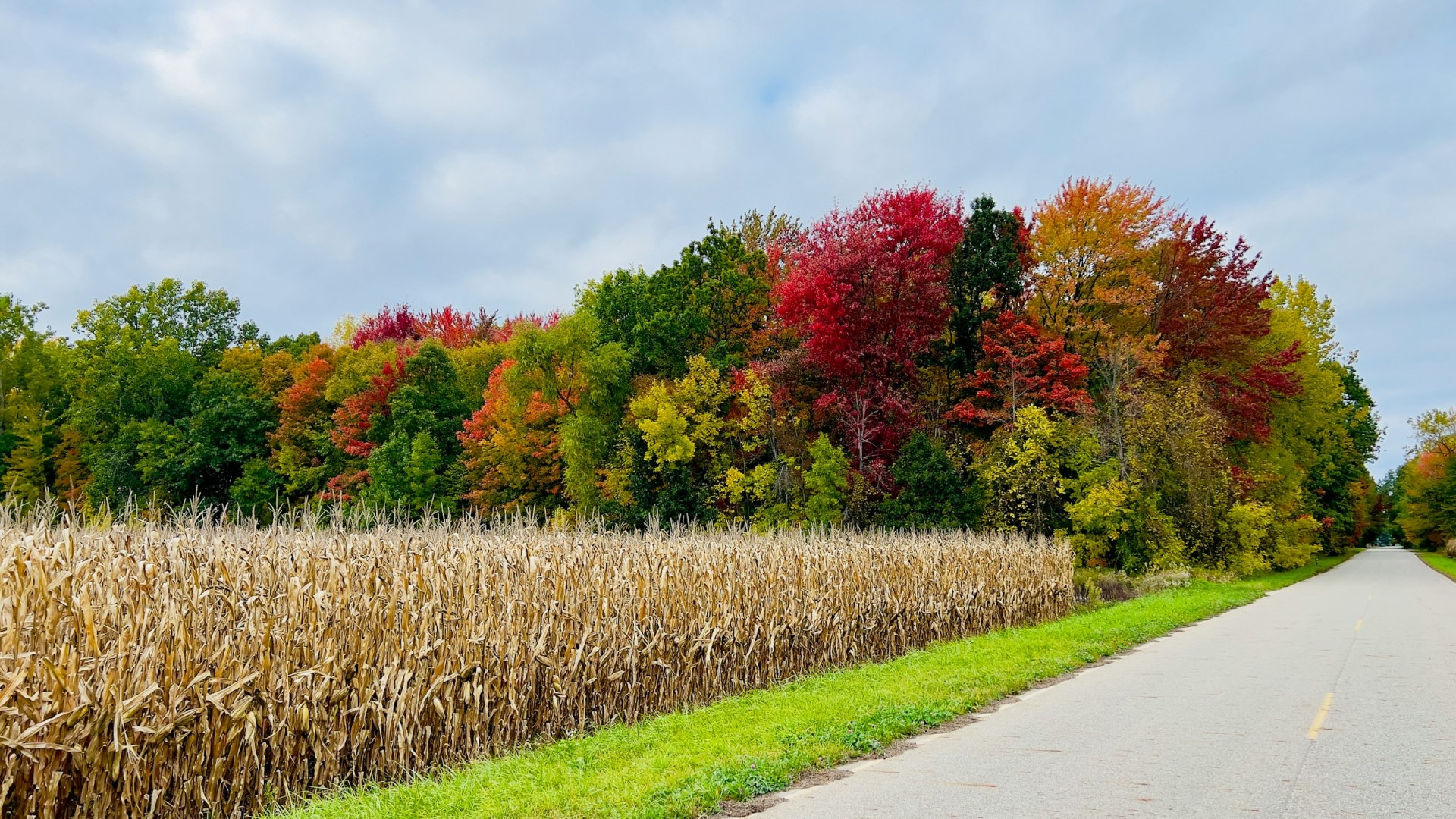  Photo Credit: Photo by Patrick Donnelly on Unsplash