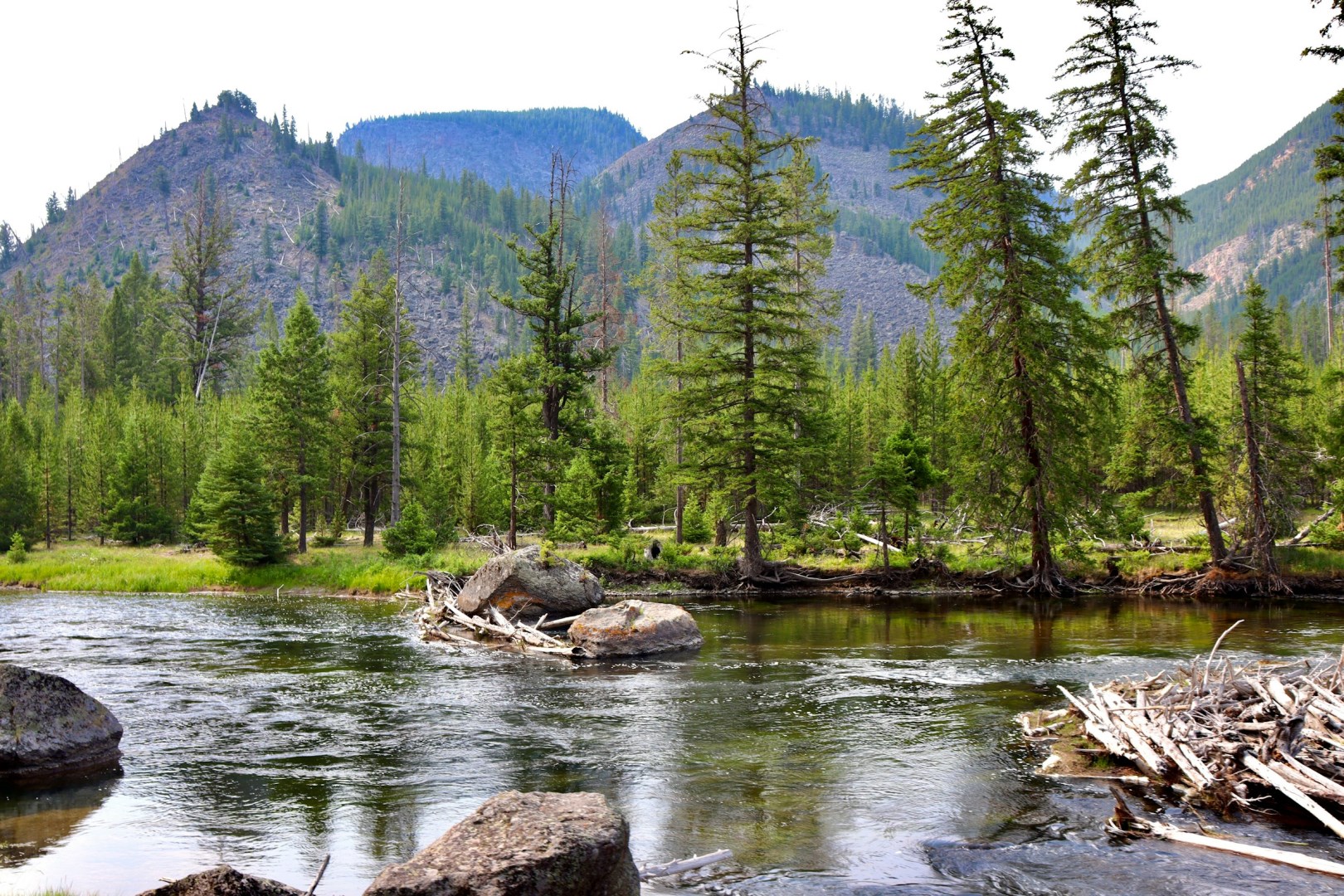 Madison River - Photo Credit: Photo by Keely Klenke on Unsplash