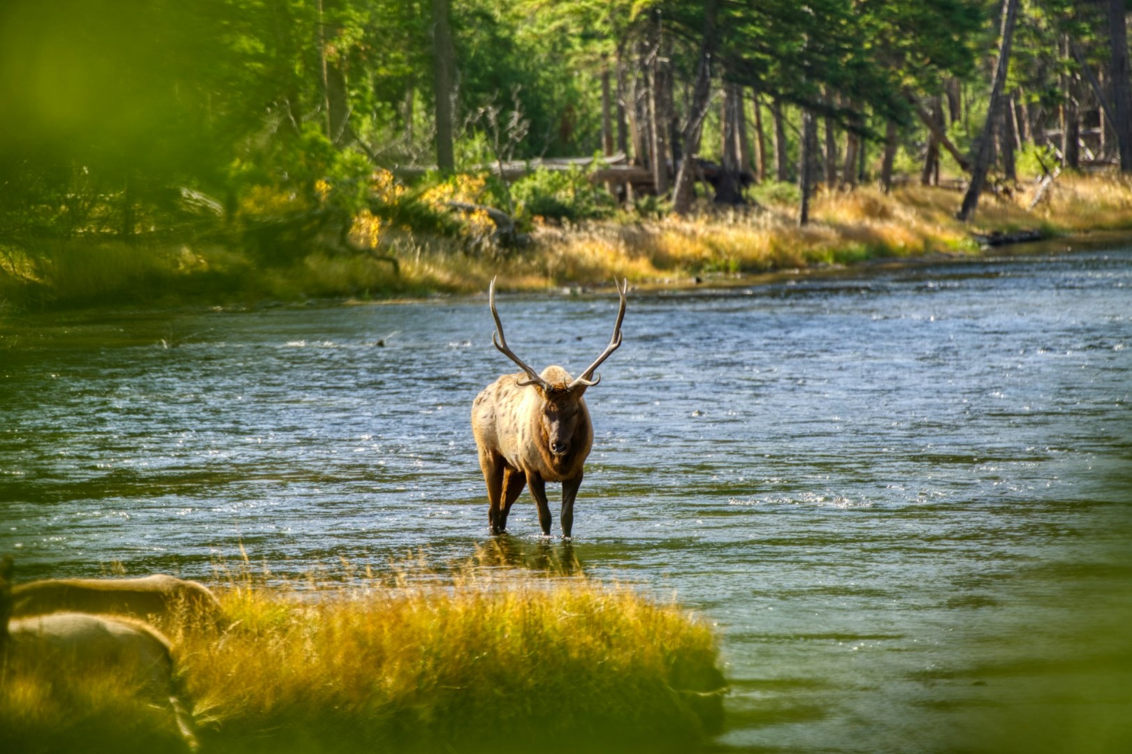  Photo Credit: Photo by Sarat Karumuri on Unsplash