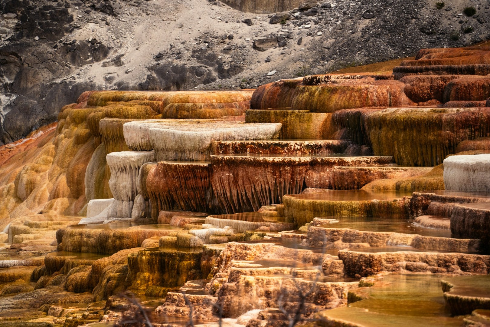  Photo Credit: Photo by Dennis Zhang on Unsplash