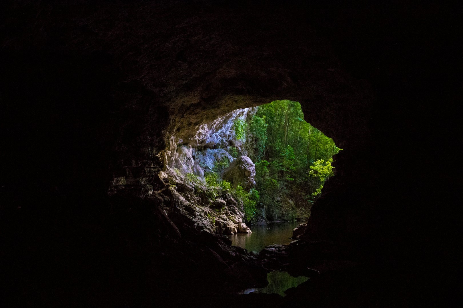  Photo Credit: Photo by Robin Canfield on Unsplash