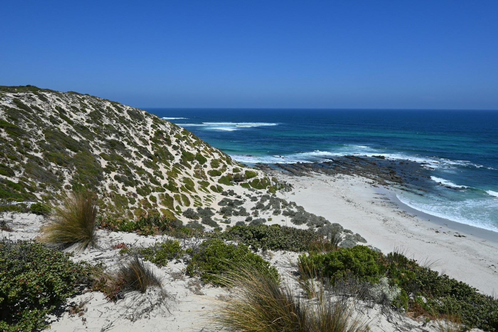 Seal Bay Beach - Photo Credit: Photo by Athithan Vignakaran on Unsplash