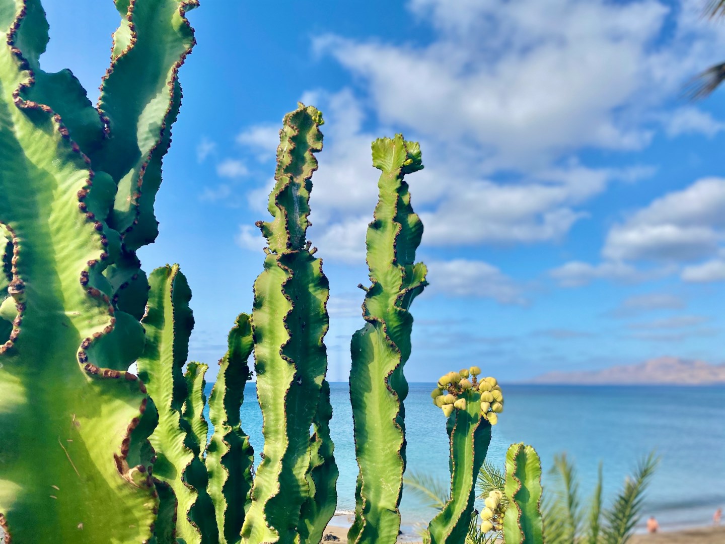  Photo Credit: Photo by Jorge Fernández Salas on Unsplash