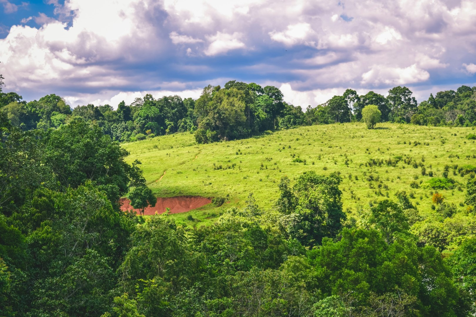 Khao Yai National Park