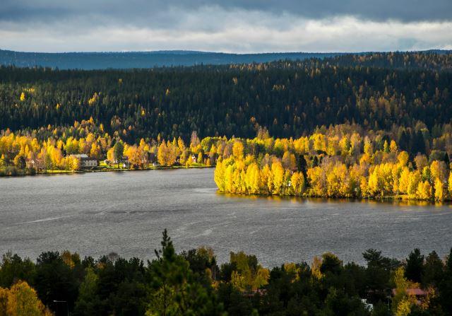  Photo Credit: Jaakko Kemppainen