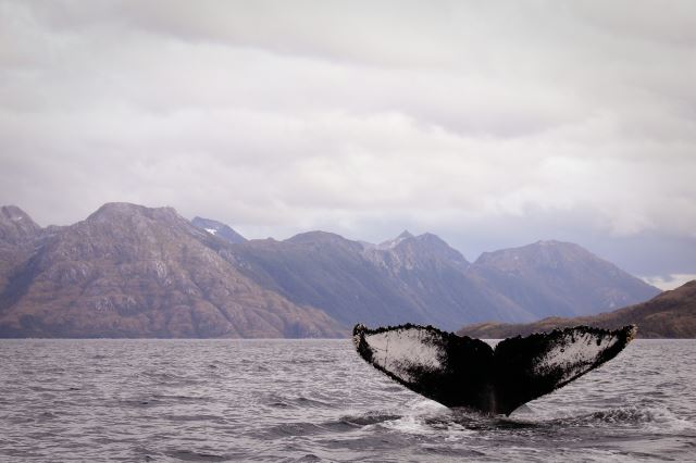 Strait of Magellan