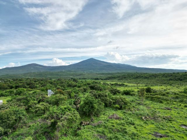 Michoacan