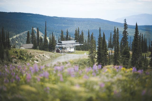 Sun Peaks
