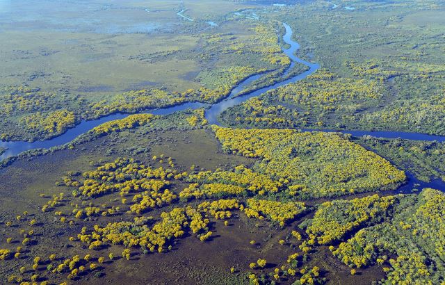 Pantanal