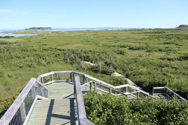 L'Anse Aux Meadows