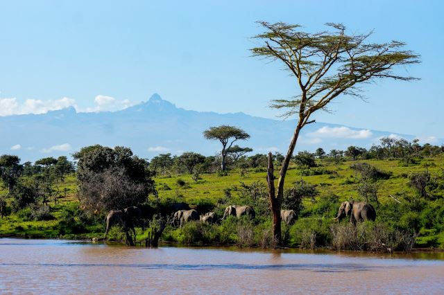Laikipia Plateau