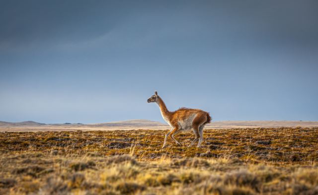 Chilean Patagonia