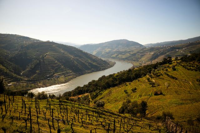 Douro River