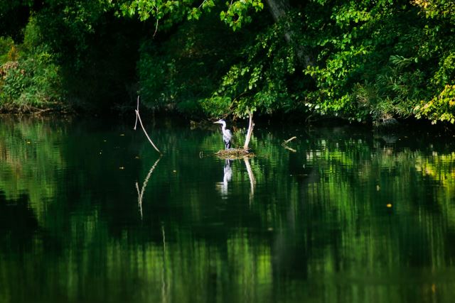 Po River
