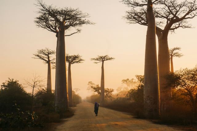 Morondava