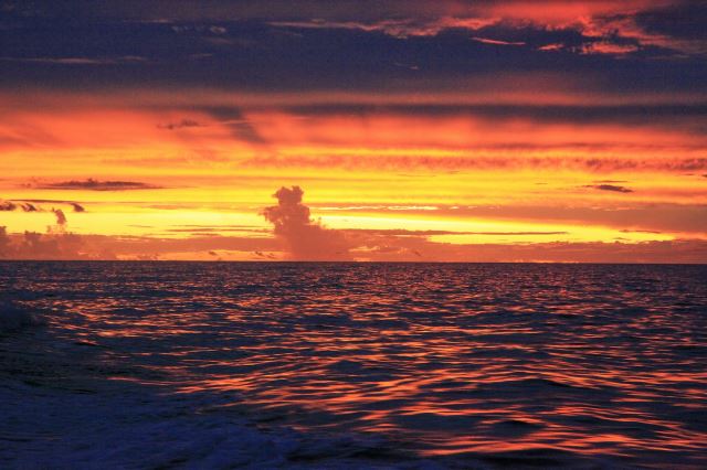 Denarau Island