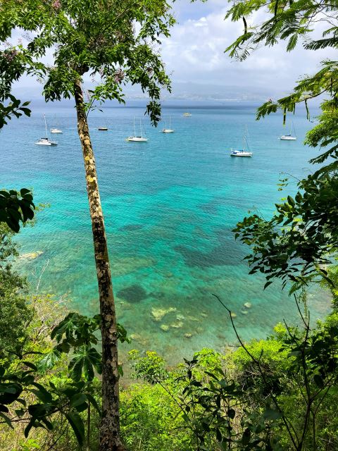 Anse Mitan