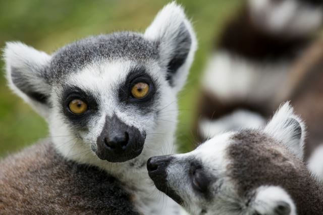 Masoala National Park