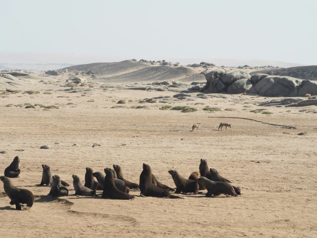 Skeleton Coast National Park