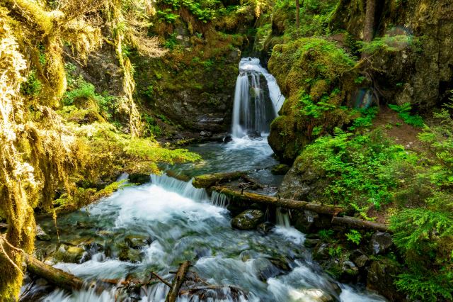 Girdwood