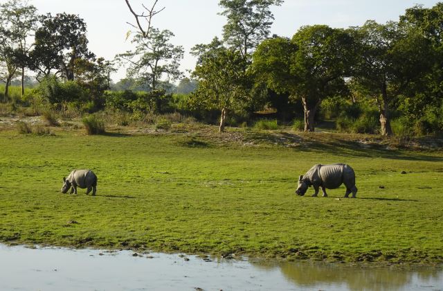 Khama Rhino Sanctuary
