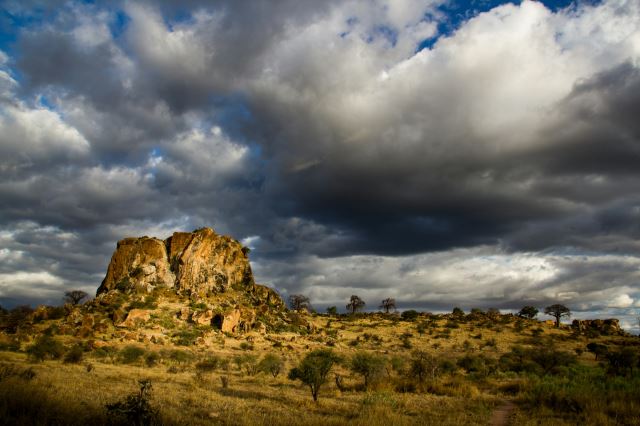 Mapungubwe National Park