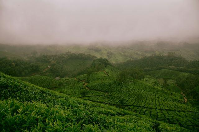 Munnar